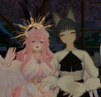 Aqua | Coraillavande